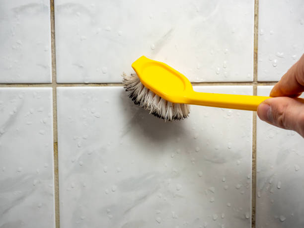 Best Certified Mold Removal  in Hopewell, TN