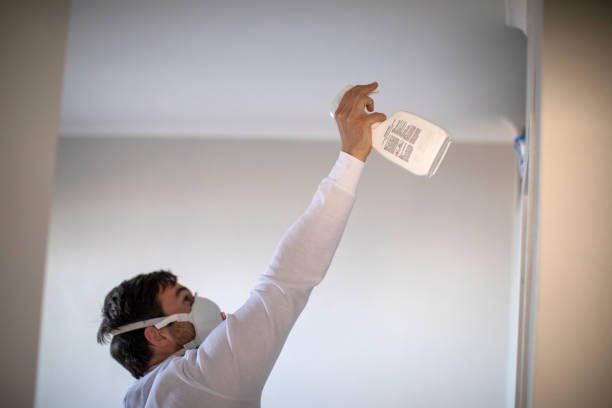 Best Local Mold Removal Service  in Hopewell, TN