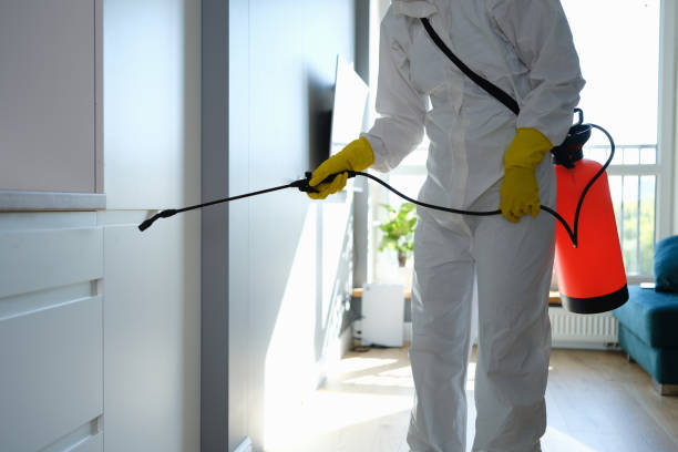 Best Toxic Mold Removal  in Hopewell, TN